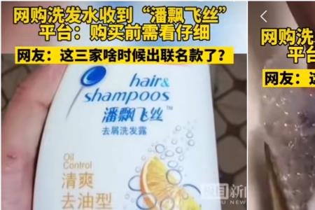 家里有很多飞丝怎么办