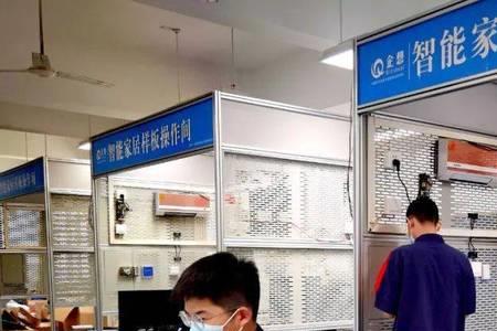 以技能立身的意思