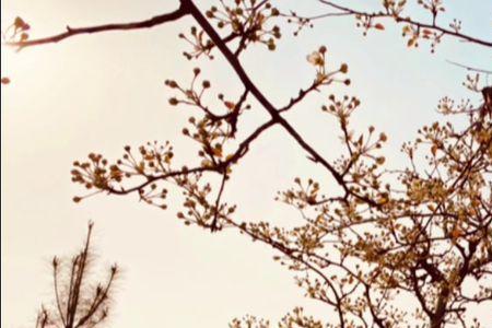 山河已春什么意思