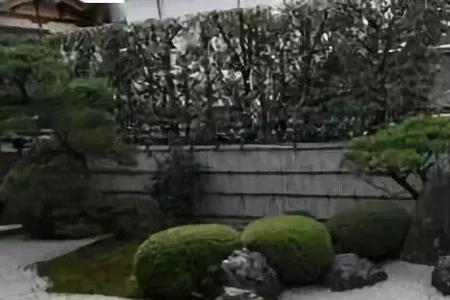 什么叫茶庭空间