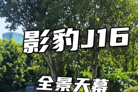 影豹哑光战机绿可以抛光吗