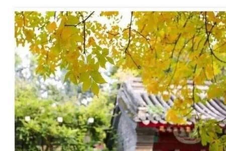 形容经典的古诗