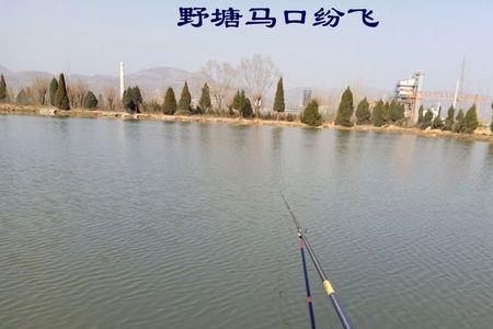钓马口子线长和短哪个好