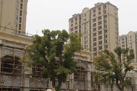 信阳印象欧洲为什么这么便宜