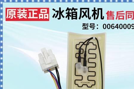 wbe战队介绍