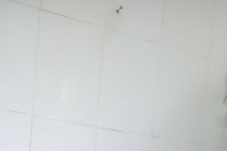 蜘蛛兰放家里好吗