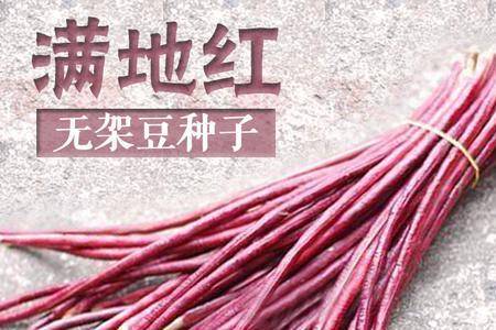 买的红色豇豆掉色怎么回事