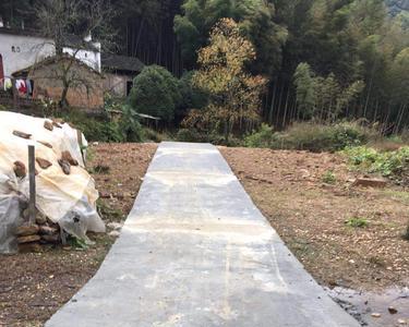 水泥路多久可以浇