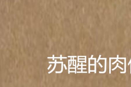 苏醒的反义词