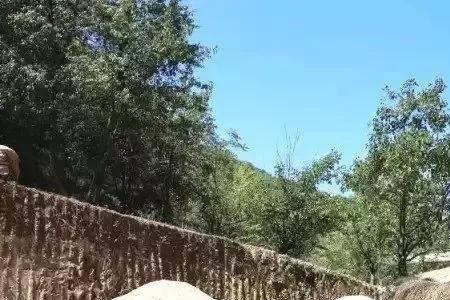 平凡的世界阳沟村是哪里