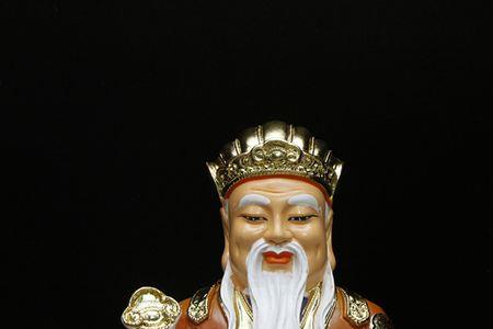 金牌保爷啥意思