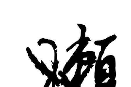 懒的名词
