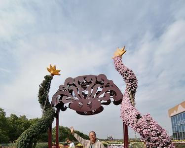 2022年湖熟菊花展门票价格