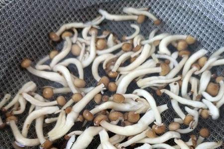 干真姬菇泡发后必须焯水吗