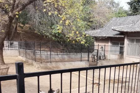 蚌埠动物园几点关门