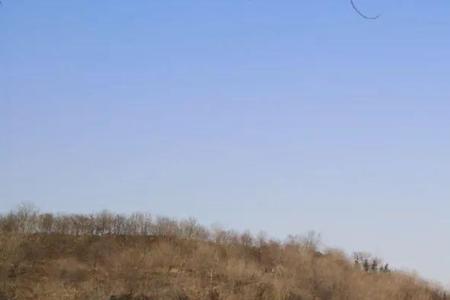 濮阳龙山公园能钓鱼吗