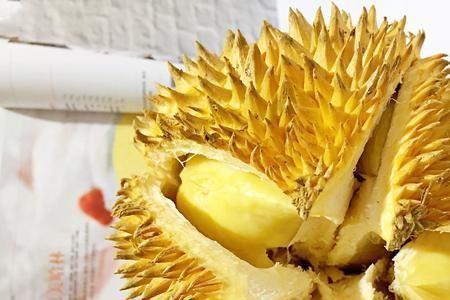 不甜的榴莲含糖吗