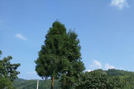 邵阳夏天最热多少度