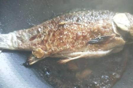 鱼皮粘锅是怎么回事