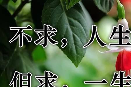 愿你们永远都幸福快乐怎么回复