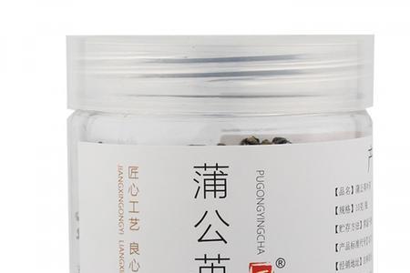 蒲公英根制茶时间