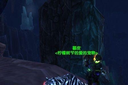 魔兽世界隐藏的稀有魁麟怎么抓