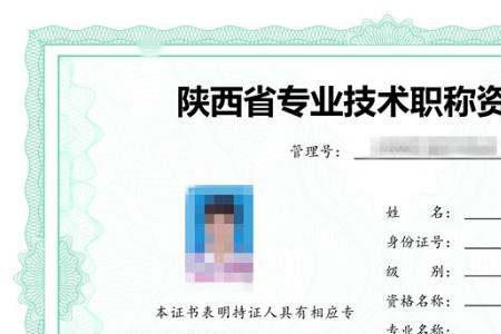 投标人员可以评职称吗