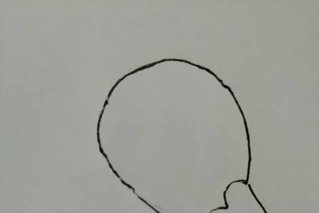 小鸭子头是什么形状的
