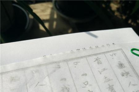 簪花染出几痕霜的读音