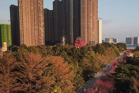 清远什么月份最热