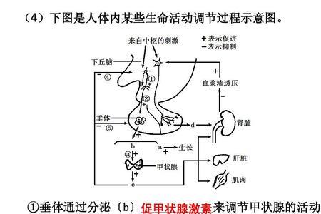 盐的渗透作用原理
