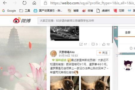 微博号被盗了怎么办
