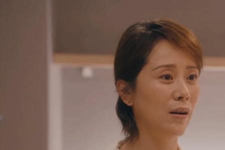 安家和哪个电视剧一起播的