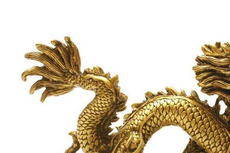 76年属龙人的性格