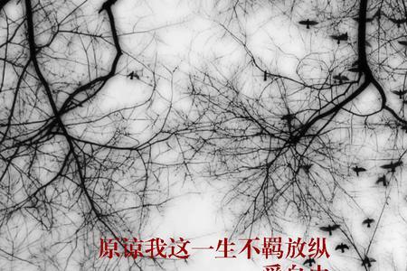 当欲望撑不起野心的时候