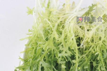 苦菊什么时候开花结籽