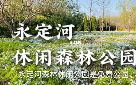 永定河八大主题公园