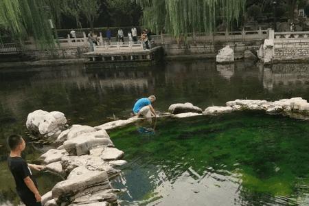 大明湖里有几个泉眼