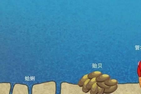 海洋生态系统的四个组成部分