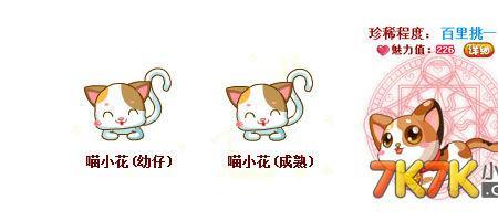 奥比岛猫咪怎么抓