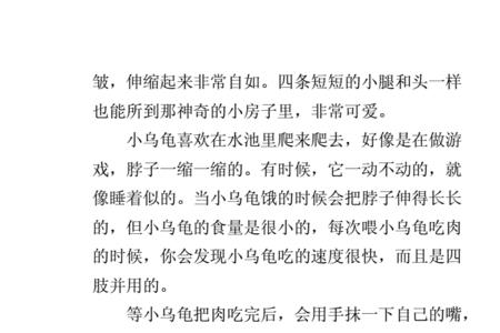 描写小海龟写五句话怎么写