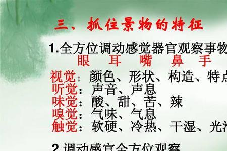 味觉和听觉感受器的名称及功能