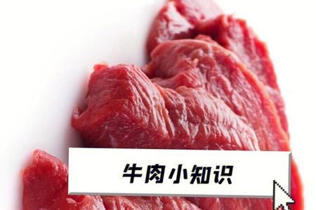 牛霖肉怎么去腥