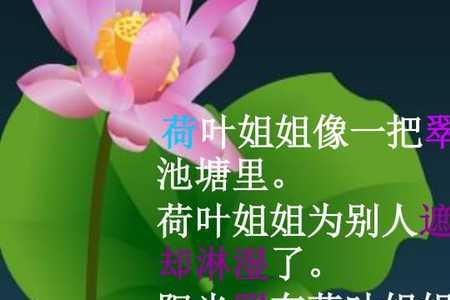 关于伞的著名文章