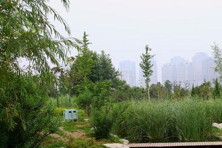 郑州象湖湿地公园要门票吗