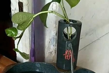 泰山石为什么不能放在鱼缸一边
