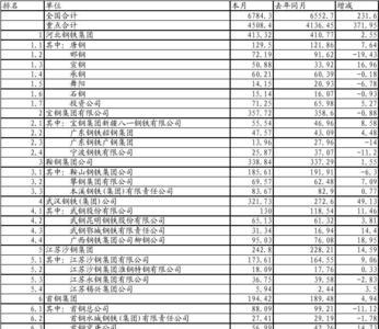 广东最大的钢铁厂排名