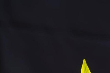 陌上幽芷是什么意思