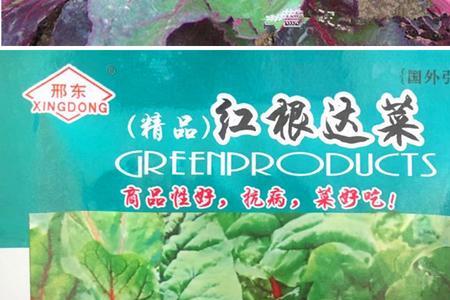 根达菜耐高温吗
