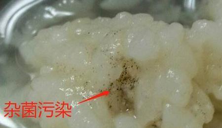 如果醪糟的表面长霉了还能要吗